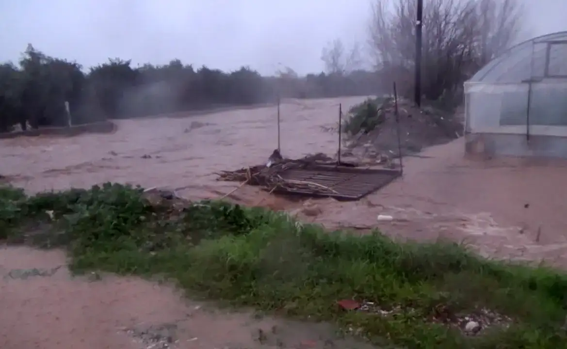 1500 Dönüm Tarım Alanı Zarar Gördü! Çiftçi: 'Ben Bittim Artık' 11